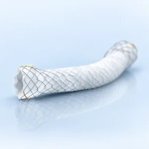 Metal Stent Biliary - Fully Covered Stent