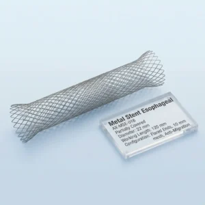 Metal Stent Duodenal